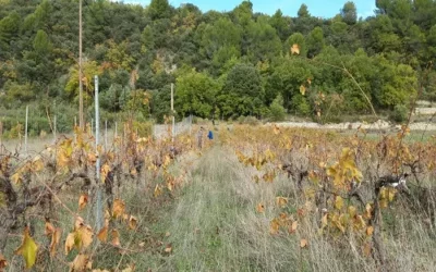 L’équipe agricole se met au travail