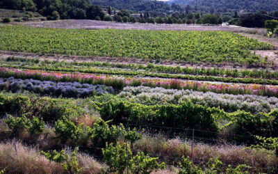 L’équipe agricole se met au travail