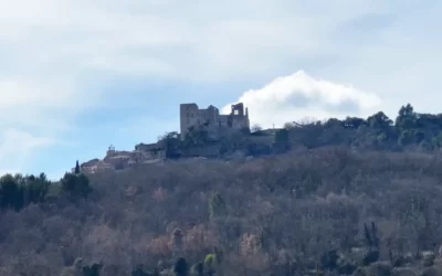 Nouvelle plantation à Lacoste