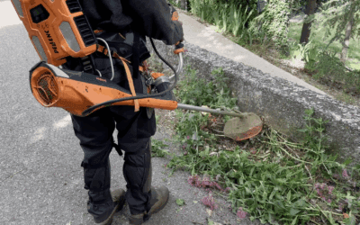 Service Espaces Verts De L’EBE