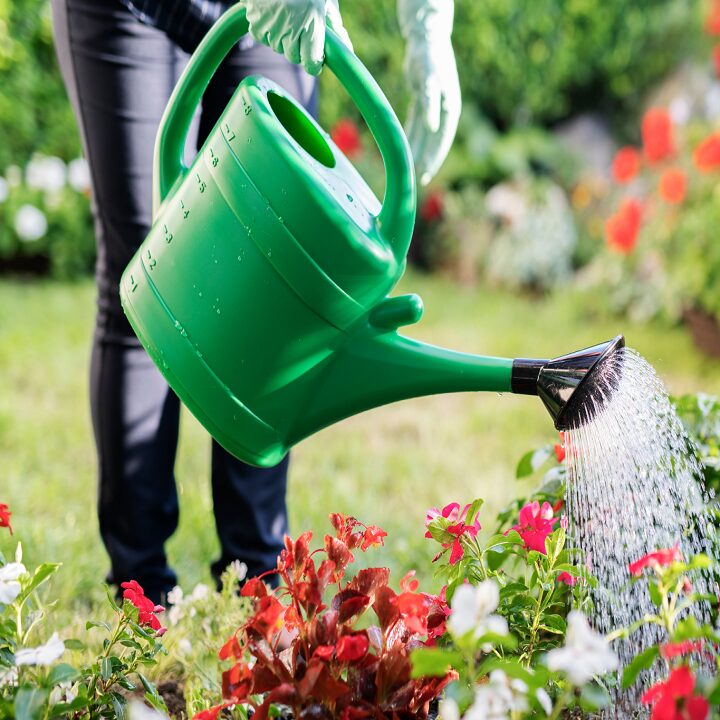 petits travaux utiles jardinet